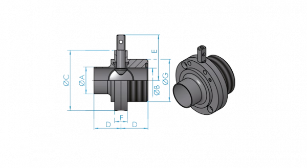 3.-Vannes-papillon-Bouts-lisses-Bouts-filetes-removebg-preview